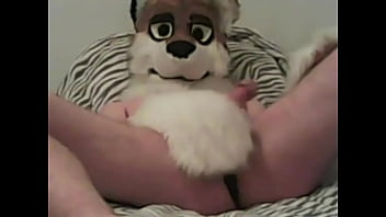  Hot college furry fox paws off for you