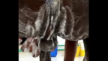 Bangladeshi Big Dick Gay Amateur Bathroom Masturbation